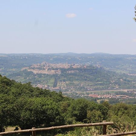 Agriturismo Fattoria Poggio Boalaio Orvieto Exteriör bild