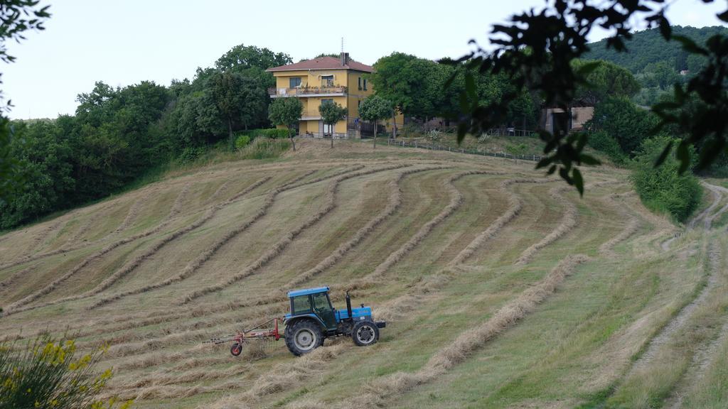 Agriturismo Fattoria Poggio Boalaio Orvieto Exteriör bild