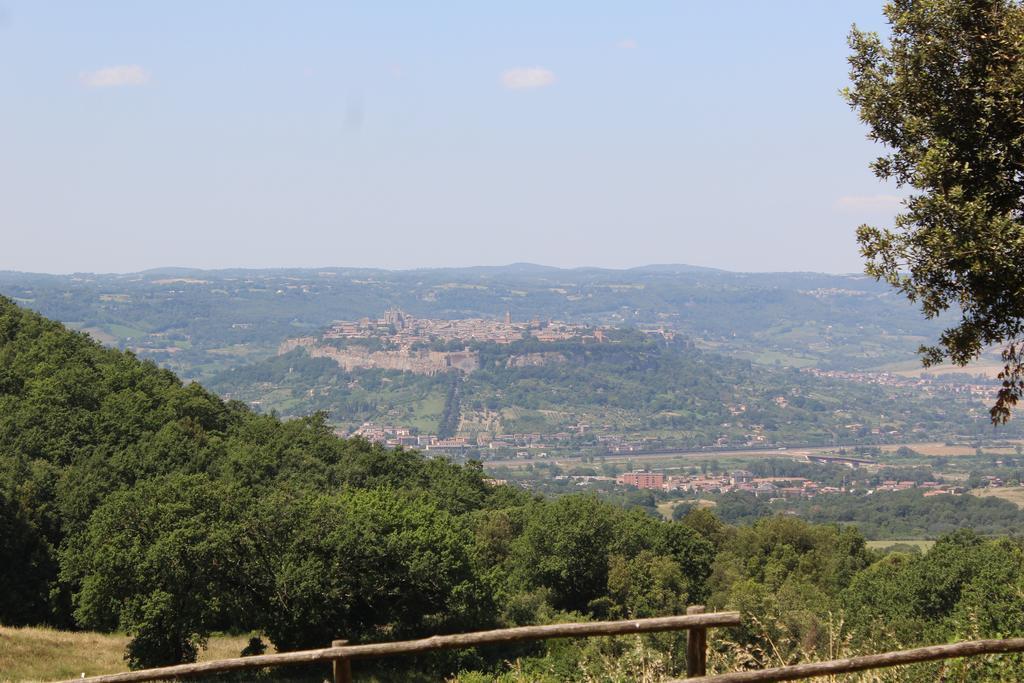 Agriturismo Fattoria Poggio Boalaio Orvieto Exteriör bild