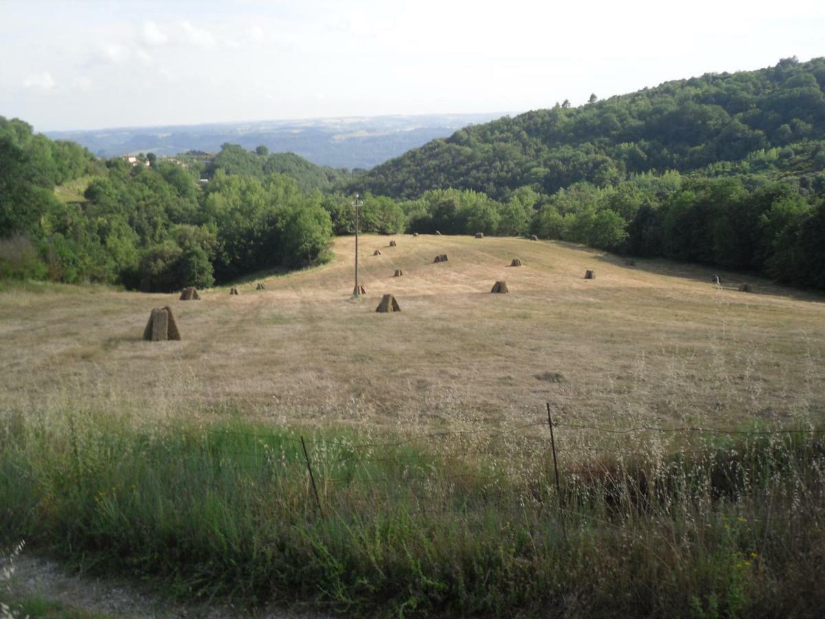 Agriturismo Fattoria Poggio Boalaio Orvieto Exteriör bild